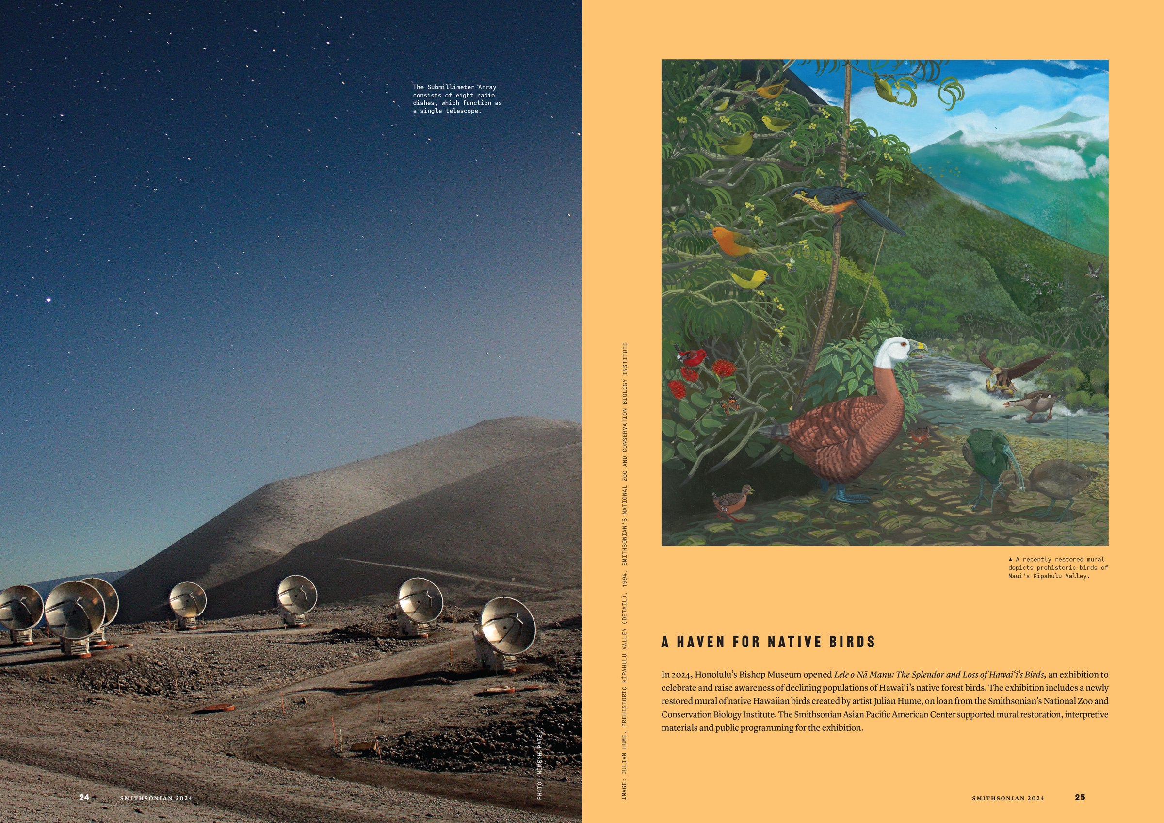 SMI2024_Telescopesaandbirds
